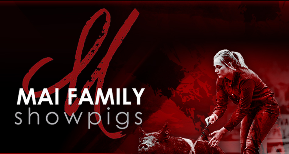 Mai Family Showpigs