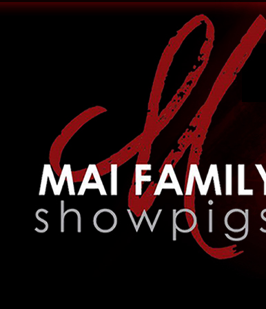 Mai Family Showpigs