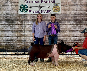 Mai Family Showpigs