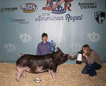 Mai Family Showpigs Winners