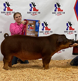 Mai Family Showpigs Winners