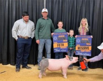 Mai Family Showpigs Winners