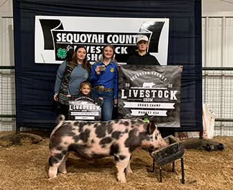 Mai Family Showpigs Winners