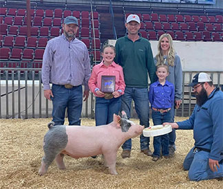 Mai Family Showpigs Winners